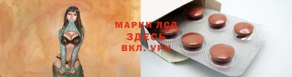 мдпв Майский