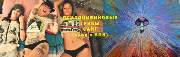 соль ск Магас