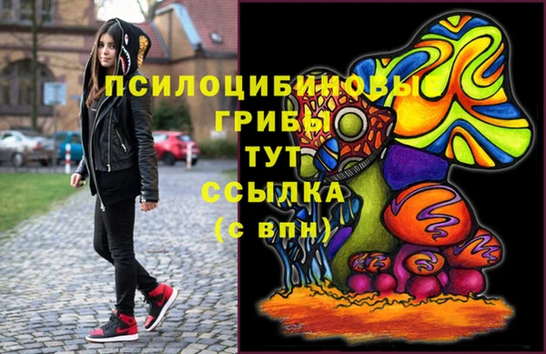 соль ск Магас