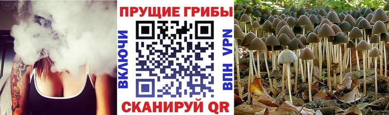 Псилоцибиновые грибы MAGIC MUSHROOMS Скопин